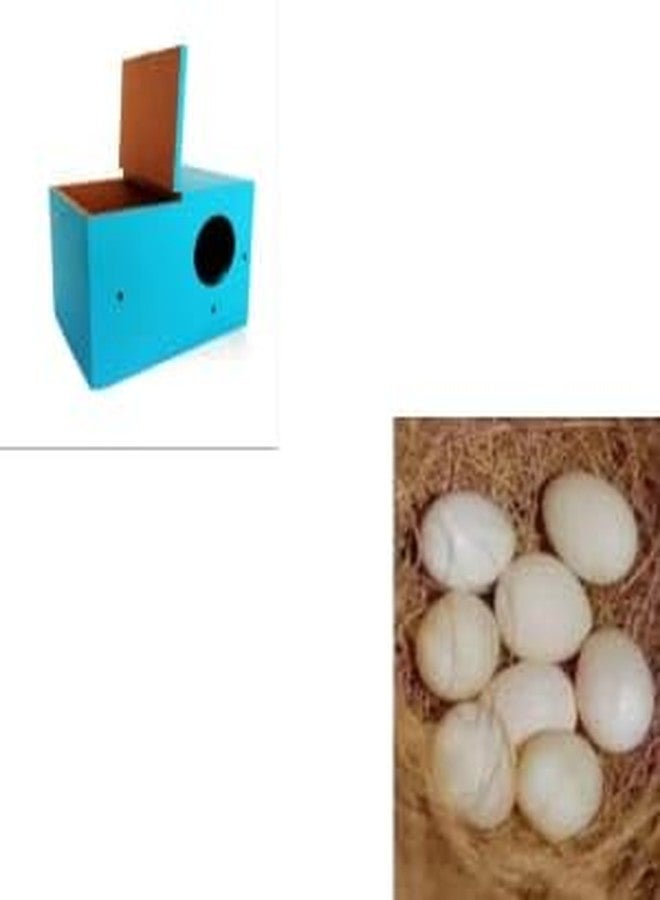 GO7 Bird House Wooden Breeding Box for Love Birds,bajri Bird Java Zebra Bird Breeding Box for Small Birds, Blue Color Pack of 1 (Coco Fiber Free) - Image 4